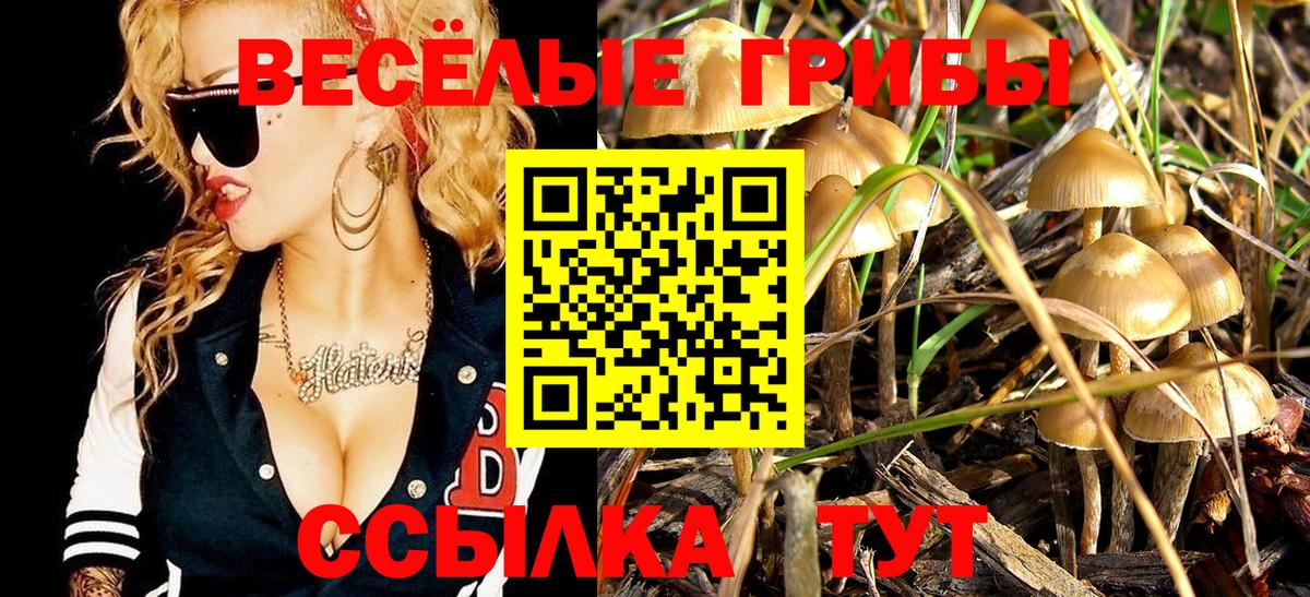 Ликино-Дулёво  Галлюциногенные грибы Cubensis  Вход с VPN 
